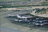 Dallas/fort Worth International Airport (DFW) - American Airlines ramp - by Mark Pasqualino