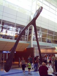 Dallas/fort Worth International Airport (DFW) - Open House at the new International Terminal D in 2004 - by Zane Adams