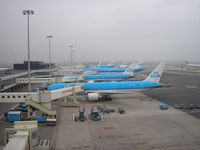 Amsterdam Schiphol Airport, Haarlemmermeer, near Amsterdam Netherlands (EHAM) - Schiphol Airport - General view - by Henk Geerlings