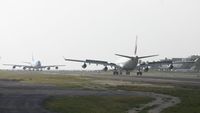 Princess Juliana International Airport, Philipsburg, Sint Maarten Netherlands Antilles (TNCM) - two huge birds on the runway at the same time. its  just a bit hazy that day - by SHEEP GANG