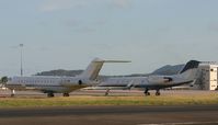 Princess Juliana International Airport, Philipsburg, Sint Maarten Netherlands Antilles (TNCM) - NIce birds - by SHEEP GANG