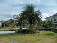 Vero Beach Municipal Airport (VRB) - On the runway side of VRB (outside CJ Cannon's) - by simkatu
