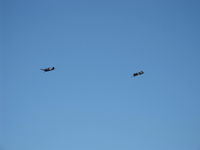 Santa Paula Airport (SZP) - Dogfight airshow practice-N712Z Mitsubishi A6M3 ZERO-SEN (ZEKE) vs. N1078Z S&S Special GRUMMAN F6F-6 HELLCAT 'Minsi III' - by Doug Robertson