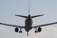 SZG photo