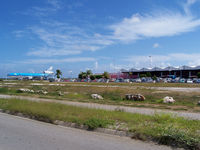 Flamingo International Airport - Flamingo International Airport - by Casper Kolenbrander