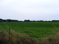 X4LD Airport photo