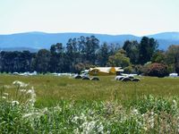Lilydale Airport - This shot shows the relative size difference between the Antonov An-2 VH-CCE currently based at Lilydale and the other GA aircraft there, as well as the lush vegetation growth following good recent rains, after years of drought. - by red750