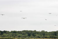 Sywell Aerodrome Airport, Northampton, England United Kingdom (EGBK) - Not quite Oshkosh - but 10 aircraft on approach to Sywell was pretty impressive - by Terry Fletcher