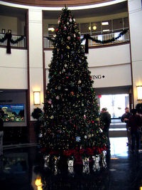 Charlottesville-albemarle Airport (CHO) - CHO Christmas tree - by Ronald Barker