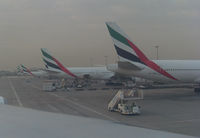Dubai International Airport, Dubai United Arab Emirates (OMDB) - a few Emirates planes - by Thomas Ranner