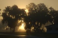 Lakeland Linder Regional Airport (LAL) - Sunrise on a Foggy Morning at Lakeland Linder Regional Airport, Lakeland, FL  - by scotch-canadian