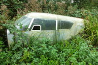 Elstree Airfield - unidentified Piper PA-24 Comanche in the undergrowth at Elstree - by Chris Hall