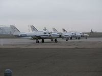 Metropolitan Oakland International Airport (OAK) - Ameriflight PA-31 Navajos getting ready for the daily mail runs up and down Northern and Central California (Ameriflight now operates out of KHWD a few miles south of KOAK) - by Steve Nation