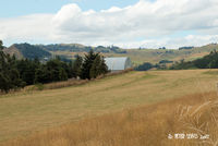 Taihape Aerodrome - RW24, landing only, takeoffs prohibited - by Peter Lewis