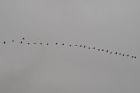 KBOI photo