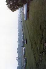 2OH9 photo