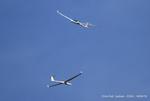 Lasham Airfield Airport, Basingstoke, England United Kingdom (EGHL) - Gliders over Lasham - by Chris Hall