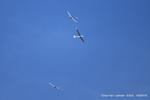 Lasham Airfield Airport, Basingstoke, England United Kingdom (EGHL) - Gliders over Lasham - by Chris Hall