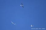 Lasham Airfield Airport, Basingstoke, England United Kingdom (EGHL) - Gliders over Lasham - by Chris Hall