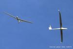 Lasham Airfield Airport, Basingstoke, England United Kingdom (EGHL) - Gliders over Lasham - by Chris Hall
