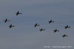 Duxford Airport, Cambridge, England United Kingdom (EGSU) - Duxford Flying Legends 2017 - by Chris Hall