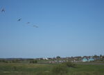 EKVL Airport photo